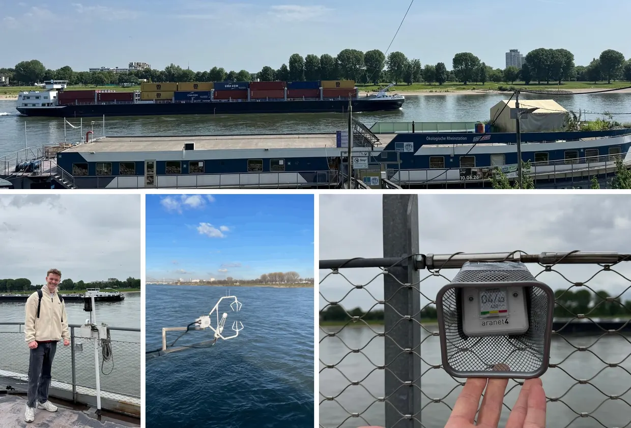 Collage aus meiner Bachelorarbeit: die Ökologische Rheinstation, ein Schiff auf dem Rhein, ich an der Messstation und die Messgeräte